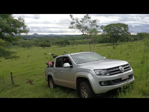 Opiniones sobre Volkswagen Amarok 20TD 4X2 DC COM 180HP A L17 en Argentina